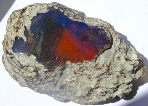 Nodule d'ambre bleu - A001 – Image 3