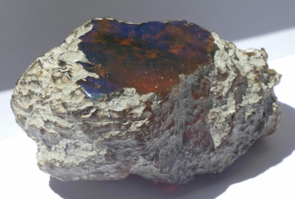 Nodule d'ambre bleu - A001 – Image 4